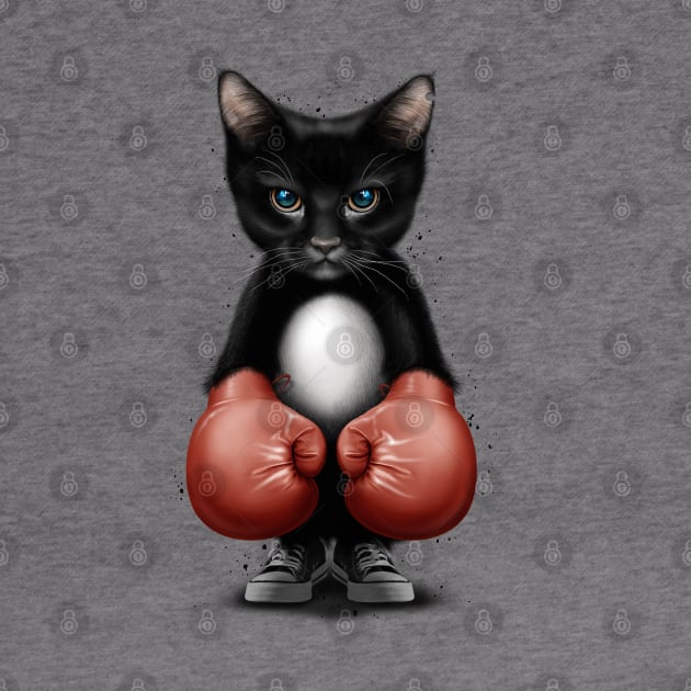 CAT BOXER 2017 by ADAMLAWLESS